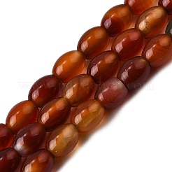 Natural Red Agate Beads Strands&nbsp;G-F801-F01-01A