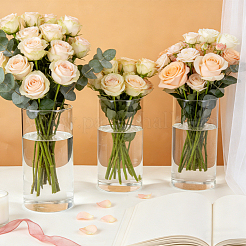 コラムガラスの花瓶の装飾品  ホームオフィスの結婚式の装飾用  透明  99x200mm  容量：1400ml（47.35fl.oz）&nbsp;AJEW-WH0696-770C