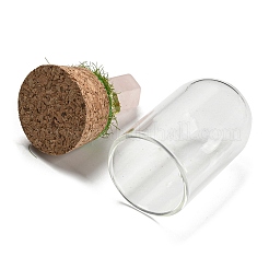 Natural Rose Quartz Bullet Display Decoration with Glass Dome Cloche Cover&nbsp;DJEW-B009-02G