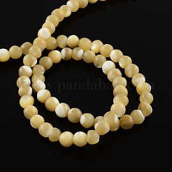 Round Natural Sea Shell Bead Strands&nbsp;BSHE-Q025-04A