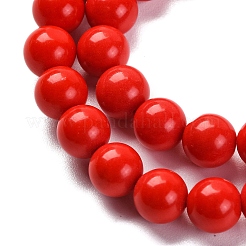 Synthetic Turquoise Beads Strands&nbsp;G-L605-G01-01B