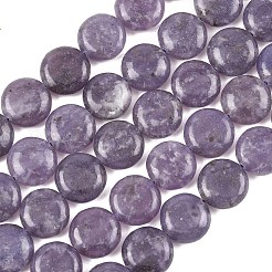 Natural Lepidolite/Purple Mica Stone Beads Strands&nbsp;G-L648-B09-15mm