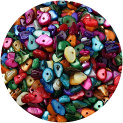 1 連売り天然チップ染色シェルビーズ連売り  シェルの破片  カラフル  5~14x5~10mm  穴：1mm  約33.85インチ&nbsp;G-FS0005-77