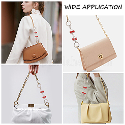 Zinc Alloy Chain Link Purse Strap Extenders&nbsp;AJEW-WH0479-46D