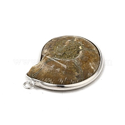 Natural Conch Fossil Pendants&nbsp;BSHE-E025-02P