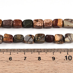 Natural Picasso Jasper/Polychrome Jasper Beads Strands&nbsp;G-N346-04A-05