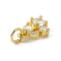 Brass Micro Pave Cubic Zirconia Charms&nbsp;ZIRC-F132-05G