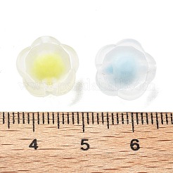 Frosted Transparent Acrylic Beads&nbsp;OACR-A032-16