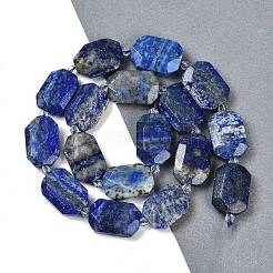 Natural Lapis Lazuli Beads Strands&nbsp;G-B125-P11-01
