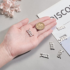 Stainless Steel Birth Year Charms&nbsp;STAS-CJ0001-106