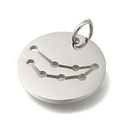 Anti-Tarnish 304 Stainless Steel Pendants&nbsp;STAS-M074-02H-P