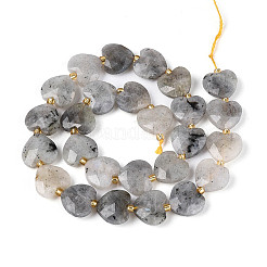 Natural Labradorite Beads Strands&nbsp;G-P592-B14-01
