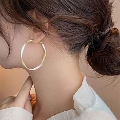 Alloy Enamel Hoop Earrings&nbsp;FS-WG76269-02