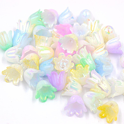 480Pcs 6 Colors Plastic Bead Caps&nbsp;FIND-SC0017-30
