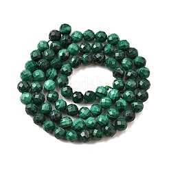Natural Malachite Beads Strands&nbsp;G-G259-D14-5mm