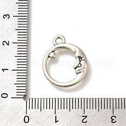 Alloy Pendants&nbsp;FIND-U023-02AS-03