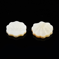 Natural Freshwater Shell Beads&nbsp;X-SHEL-T007-02