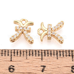Brass Micro Pave Cubic Zirconia Charms&nbsp;KK-N263-148I-G