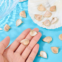 15Pcs Natural Shell Pendants&nbsp;BSHE-TA0001-26