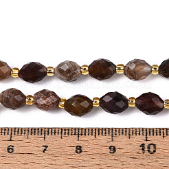 天然石ペトリファイドウッドビーズ連売り  多面カット  オーバル  シードビーズで  8~9x6~8mm  穴：1~1.2mm  約36~38個/連  14.96~15.35インチ（38~39cm）&nbsp;G-N342-35-8x6-07