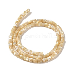 Natural Trochid Shell/Trochus Shell Beads Strands&nbsp;BSHE-H018-02