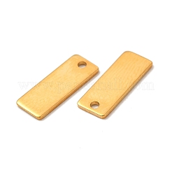 201 Stainless Steel Charms&nbsp;STAS-P320-24G