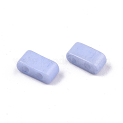 FGB 2-Hole Baking Paint Glass Seed Beads&nbsp;SEED-S031-M-SH494FR