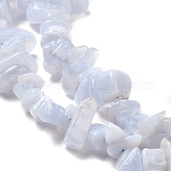 Natural Blue Lace Agate Chip Beads Strands&nbsp;X-G-E271-73-01