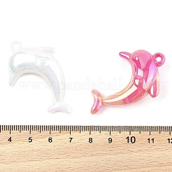 Acrylic Pendants&nbsp;PACR-Z001-04