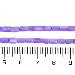 天然淡水シェルビーズ連売り  染め  コラム  ライラック  4.5~5x3~3.5mm  穴：0.6mm  約77~79個/連  14.76~14.96''（37.5~38センチメートル）&nbsp;BSHE-H109-17C