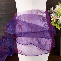 10 Yards Lucency Polyester Pleated Lace Trim&nbsp;OCOR-GF0004-74I