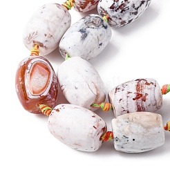 Natural Fire Crackle Agate Beads Strands&nbsp;G-P605-D01-01