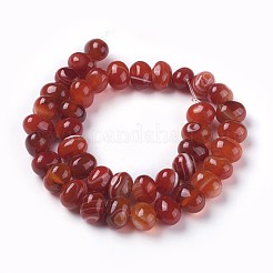 染めた天然バンド瑪瑙ビーズ連売り  オーバル  レッドオレンジ  11~12x8.5~9.5mm  穴：1.2mm  約41個/連  14.6インチ（37.1cm）&nbsp;G-F595-E03