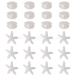 26個 2スタイル UVメッキ 海テーマ 透明樹脂カボション  虹色の  透明  20~38x22~39x8~16.5mm  13個/スタイル&nbsp;CRES-TA0001-54