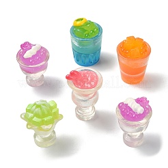 30Pcs 5 Styles Resin Display Decorations&nbsp;DJEW-CJ0001-15