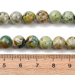 Natural Peruvian Turquoise(Jasper) Beads Strands&nbsp;G-T150-A01-8mm