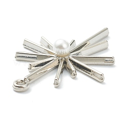 Alloy Pendants&nbsp;PALLOY-E580-05P