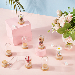 Clear Glass Dome Cover&nbsp;CON-SC0001-05C