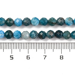 Natural Apatite Beads Strands&nbsp;G-F770-C02-02