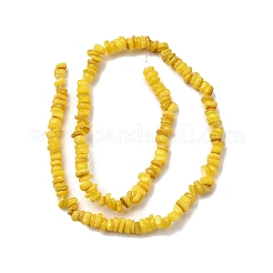 天然淡水シェルビーズ  染め  ナゲット  ミックスカラー  4.5~9x4.5~7x1.5~5mm  穴：0.8mm  約163~165個/連  14.88~15.08''（37.8~38.3センチメートル）&nbsp;SHEL-B003-01
