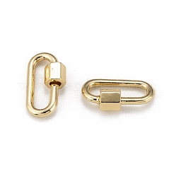 Brass Screw Carabiner Lock Charms&nbsp;KK-T047-08G