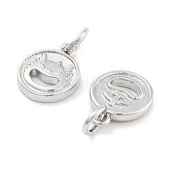 Brass Charms&nbsp;KK-P271-29P