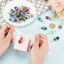 Glass Pendant Decorations&nbsp;HJEW-GO00031