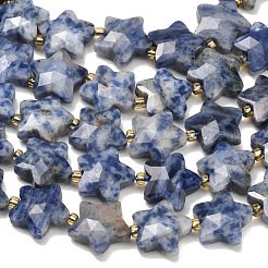 Natural Blue Spot Beads Strands&nbsp;G-P573-C45-01