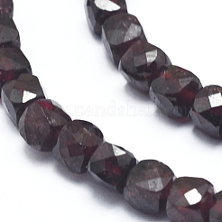 Natural Garnet Beads Strands&nbsp;G-D0003-B09