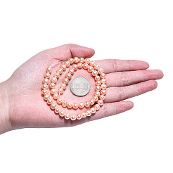 Natural Cultured Freshwater Pearl Beads Strands&nbsp;PEAR-N013-06D