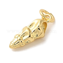 Rack Plating Brass Charms&nbsp;KK-U027-41G