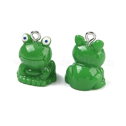 Opaque Resin Pendants&nbsp;RESI-A051-01P-01