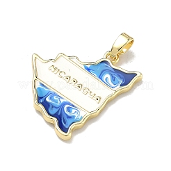 Brass Pendants&nbsp;KK-D235-08G-02