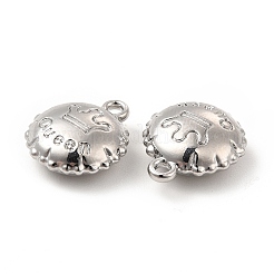 Rack Plating Alloy Charms&nbsp;FIND-G044-24P